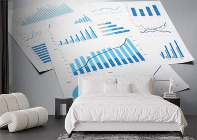 Business documents. Graphs and charts.　Documents on gray reflection background.
 Wall mural